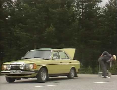 1976 Mercedes-Benz [W123]