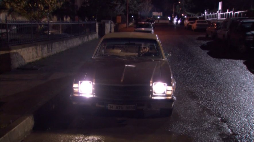 1975 Buick Apollo