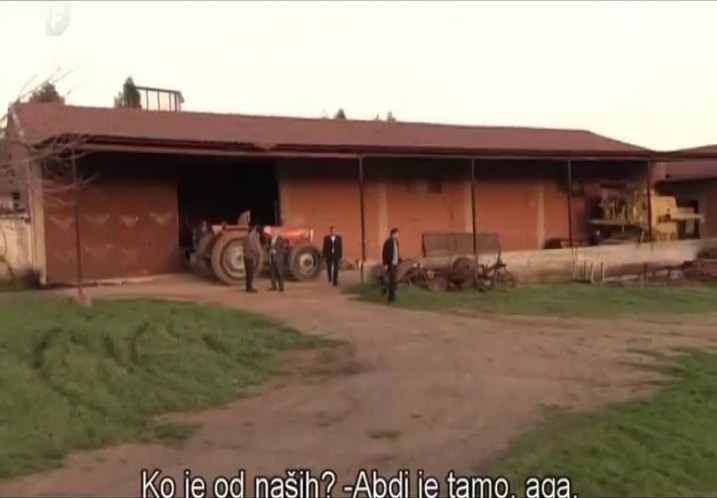 Massey Ferguson unknown