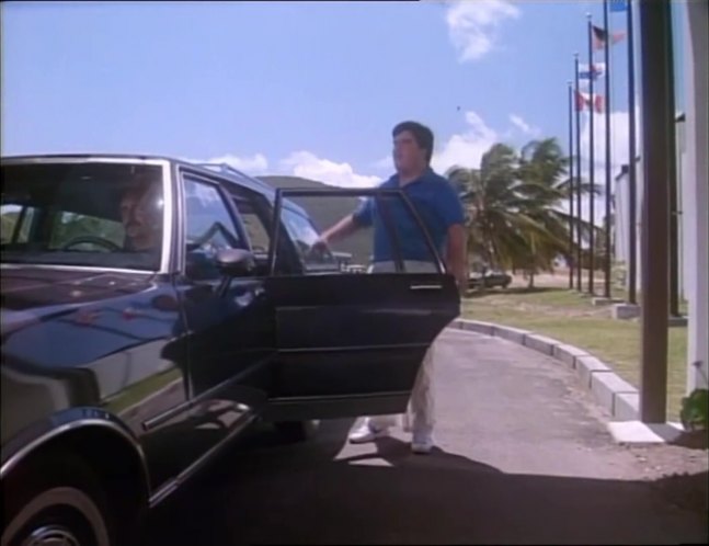 1980 Chevrolet Caprice Classic Wagon