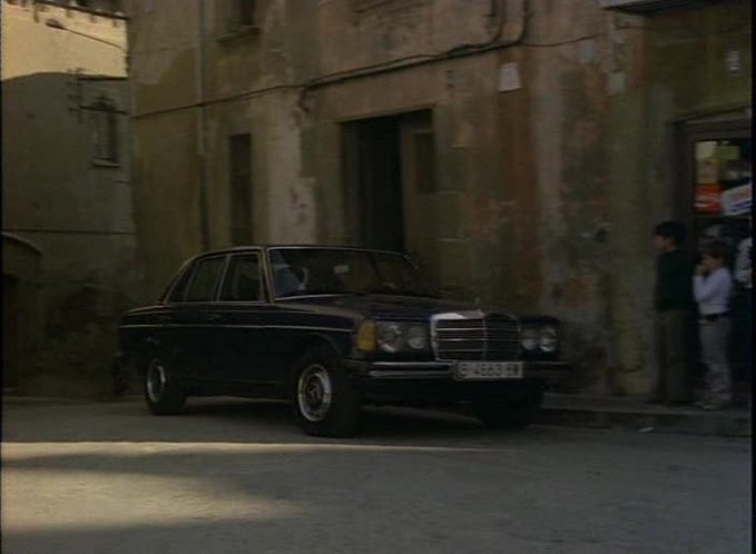 1977 Mercedes-Benz 300 D [W123]
