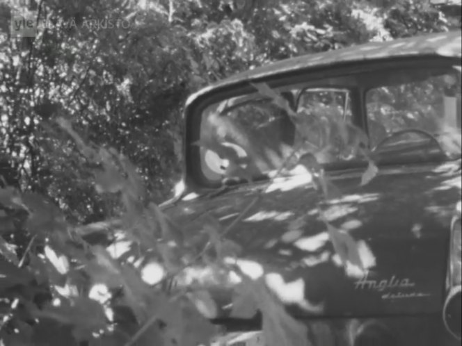 1963 Ford Anglia Deluxe 'Bärplockare' [106E]