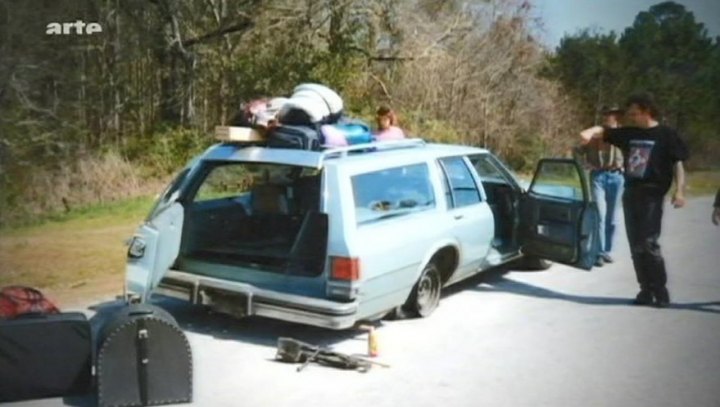 1980 Oldsmobile Custom Cruiser