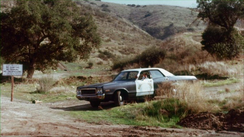 1973 Dodge Polara