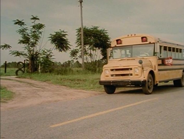 Chevrolet B-Series Blue Bird