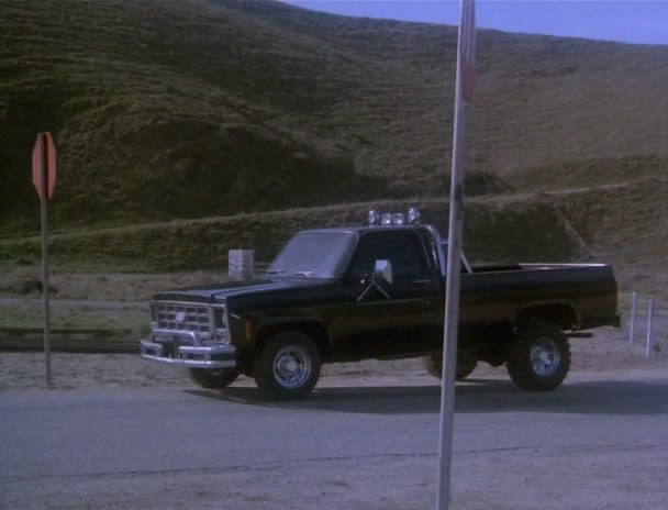 1979 Chevrolet C-20 Fleetside