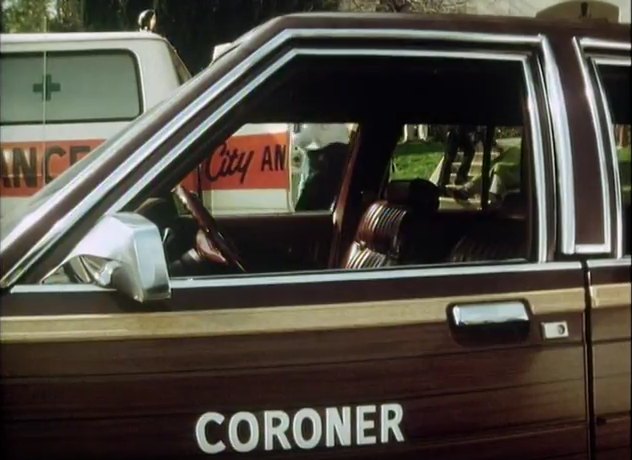 1979 Ford LTD Country Squire