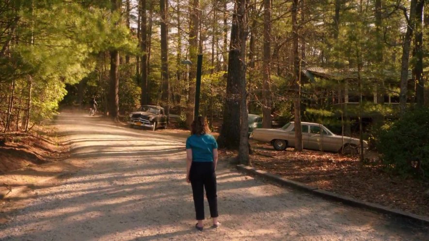 1949 Ford Custom Fordor Sedan [73B]