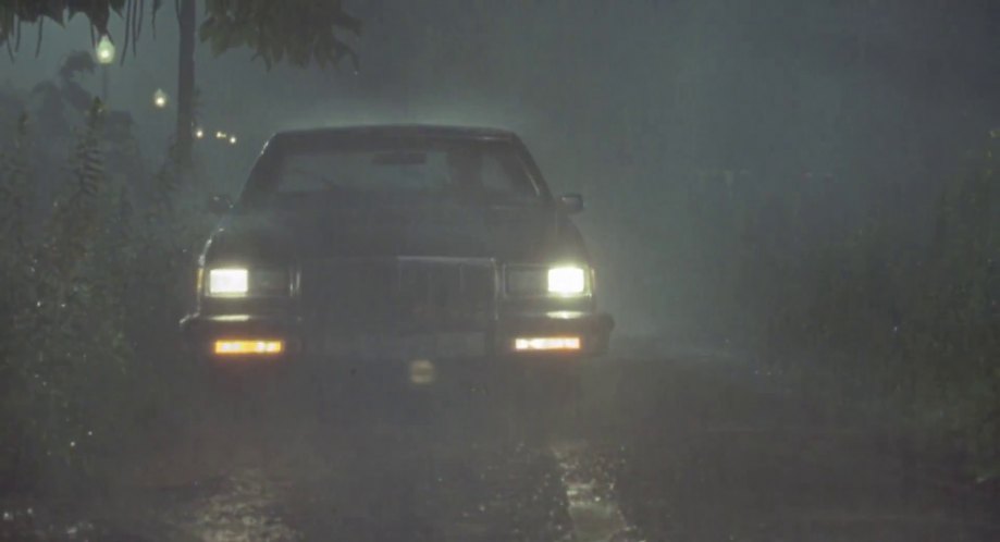 1981 Buick Electra Limited