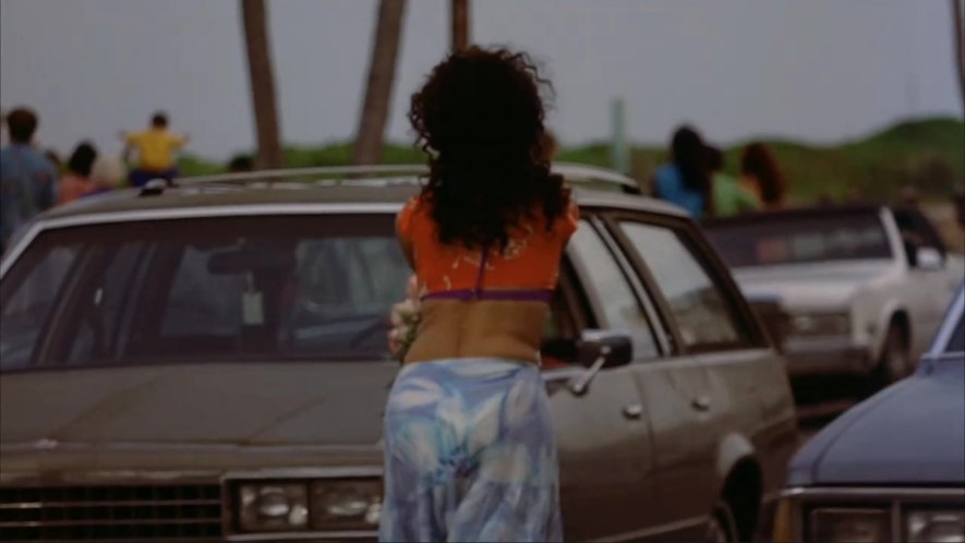 1982 Chevrolet Malibu Wagon