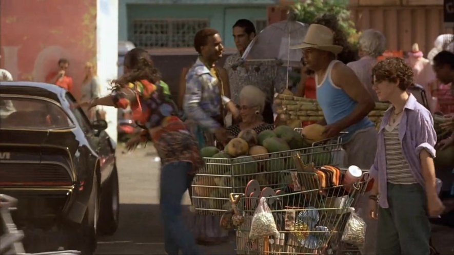 1979 Pontiac Firebird Trans Am
