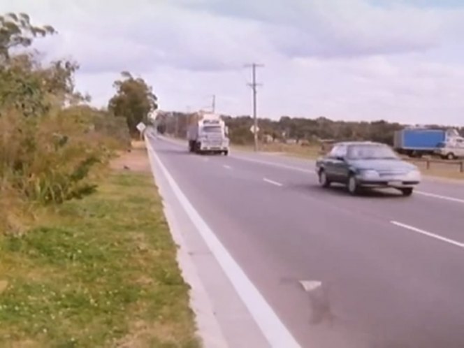 1983 Holden Commodore [VH]