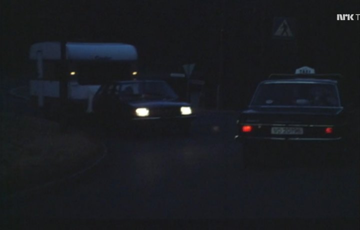1979 Renault 18 Stasjonsvogn [X34]