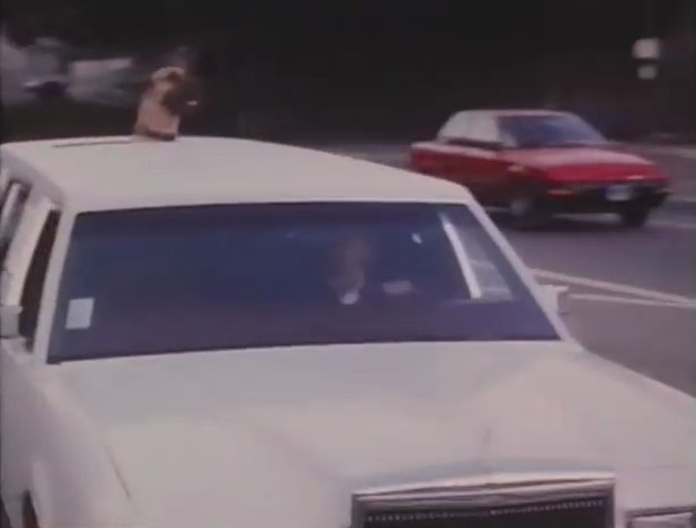 1983 Nissan Pulsar NX [N12]