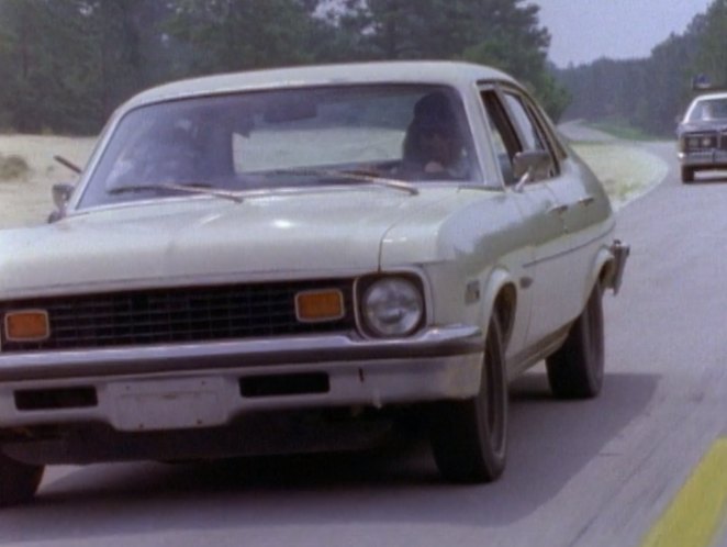 1973 Chevrolet Nova Custom [1XY69]