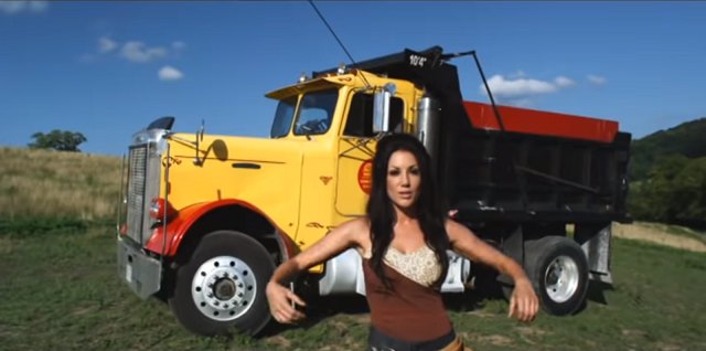 1977 Freightliner FLC 120 42