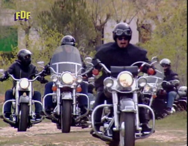 Harley-Davidson FLSTC Heritage Softail Classic