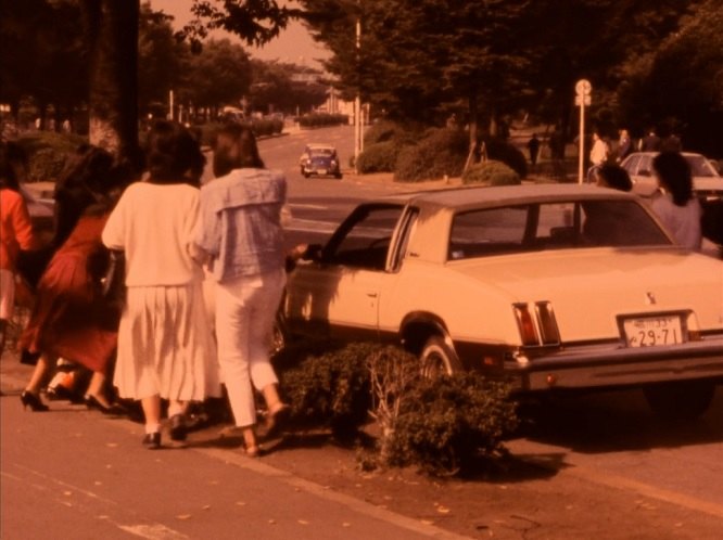 1979 Oldsmobile Cutlass Supreme