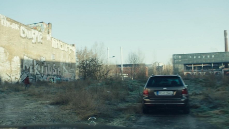 2010 Volkswagen Golf Variant VI [Typ 5K]
