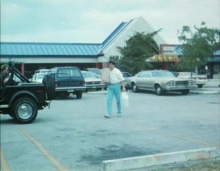 1977 Ford LTD II