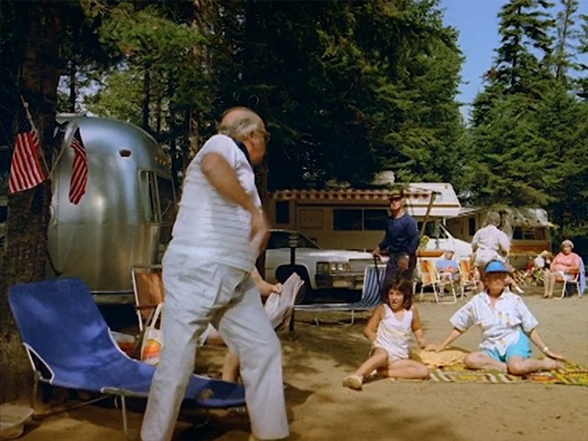 1979 Cadillac Coupe DeVille