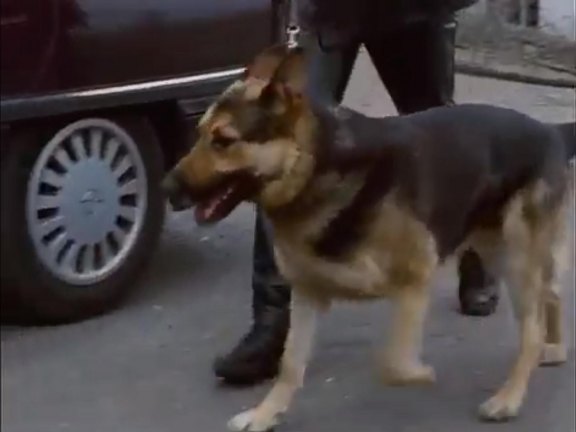 1991 Opel Omega Caravan [A]