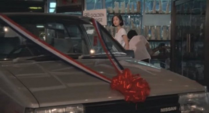 1983 Nissan Sunny [B11]