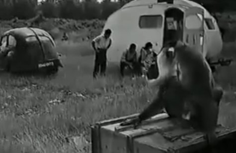 1939 Hanomag 1,3 Liter