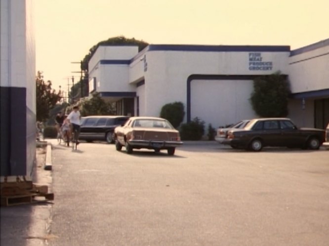 1989 Volvo 240 [244]