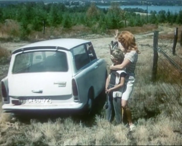 Trabant 601 Universal