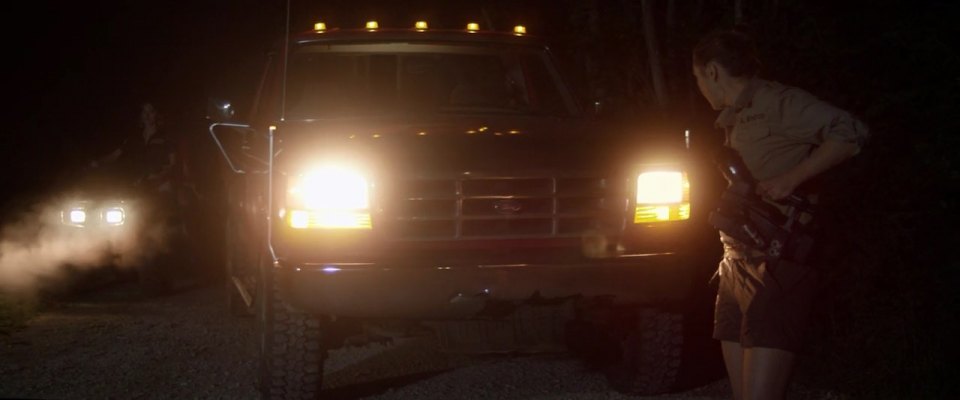 1994 Ford F-250 Regular Cab XL 4x4