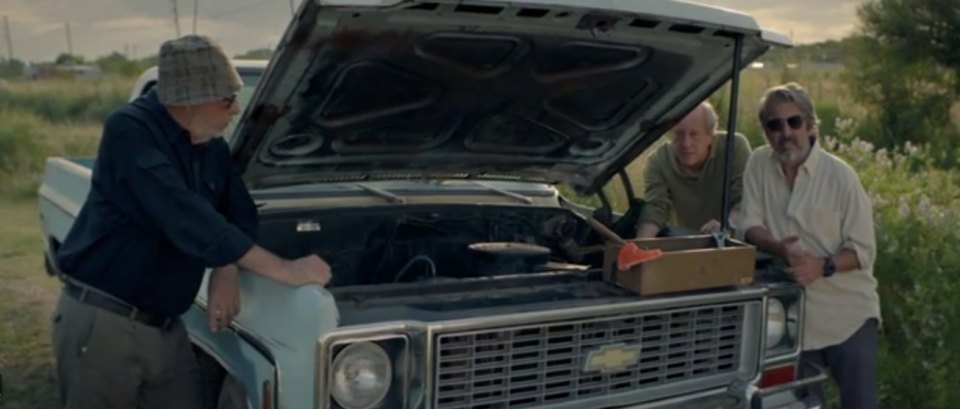 1973 Chevrolet C-Series