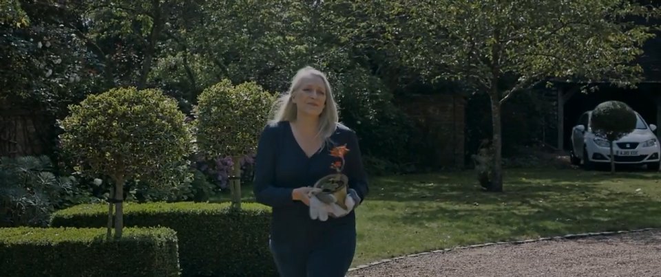 2008 Seat Ibiza 4ª generación [Typ 6J]