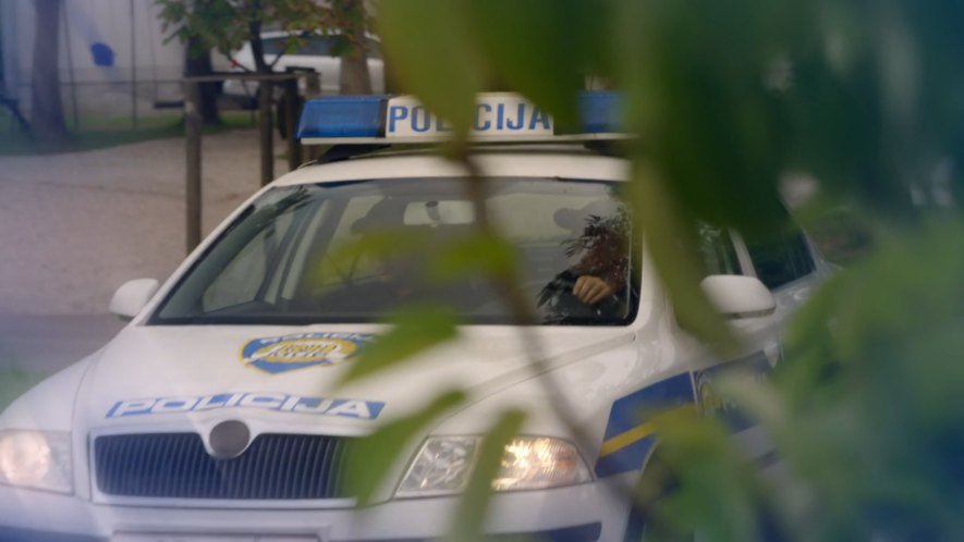 2004 Škoda Octavia Series II [Typ 1Z]