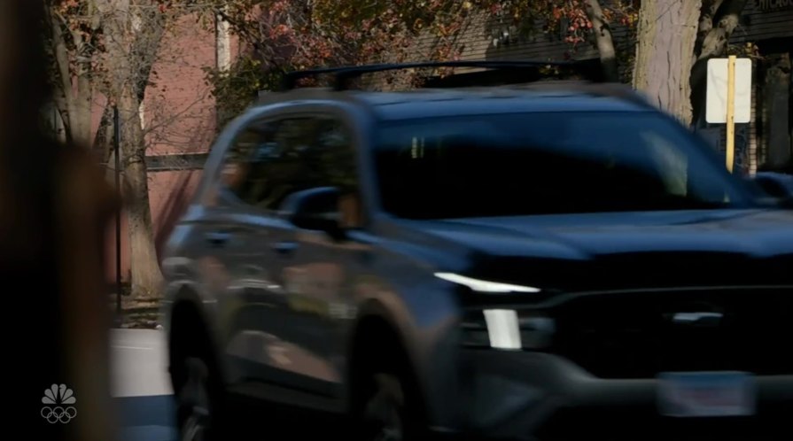 2021 Hyundai Santa Fe [TM]