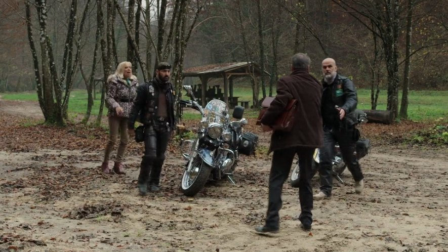 Harley-Davidson FLSTC Heritage Softail Classic