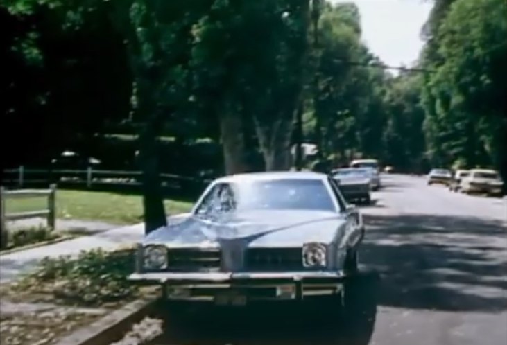 1975 Pontiac LeMans