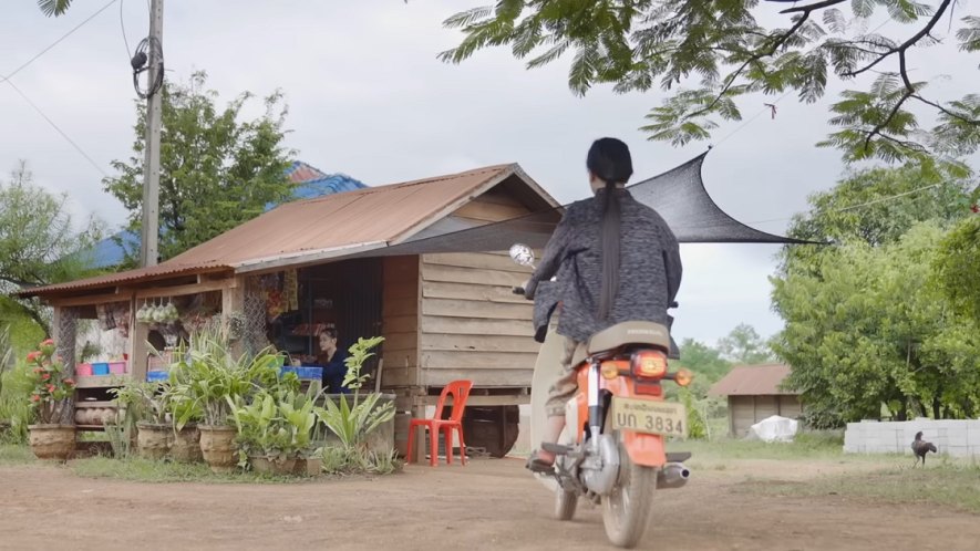 2019 Honda Super Cub
