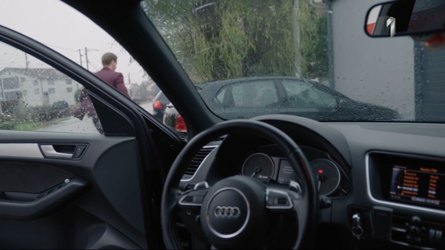 Volkswagen Polo V [Typ 6R]