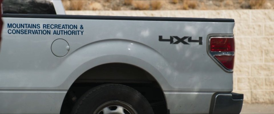 2010 Ford F-150