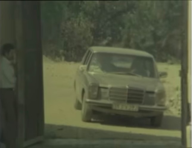 1974 Mercedes-Benz 230.6 Lang [W114]