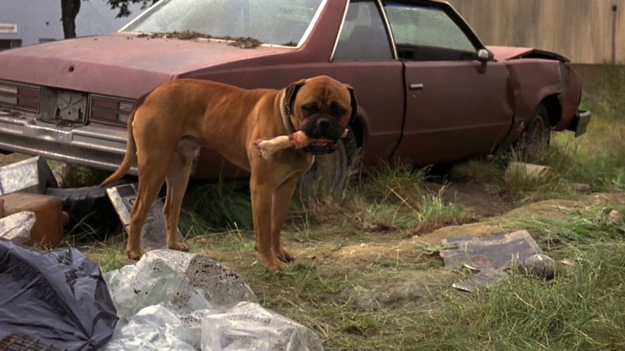 1980 Chevrolet Malibu Sport Coupe