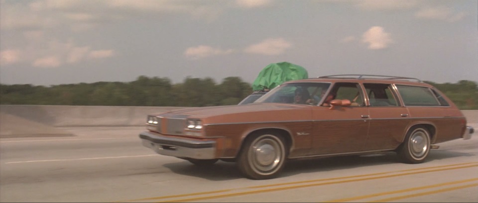 Oldsmobile Vista Cruiser 1973