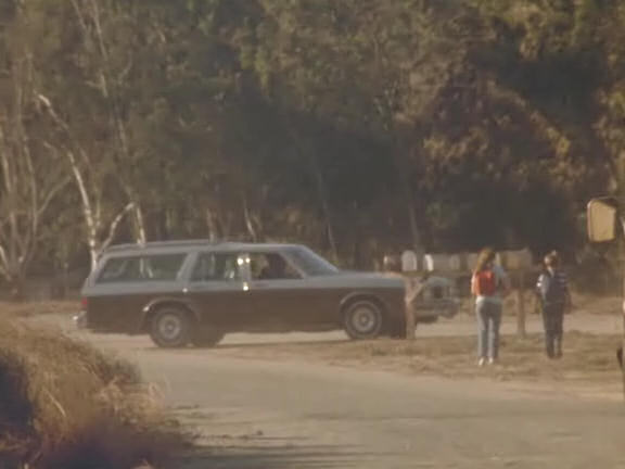 1980 Oldsmobile Custom Cruiser