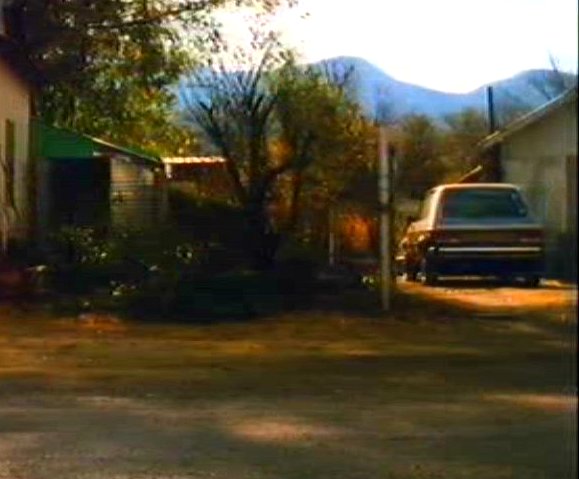 1981 Dodge Omni [C2]