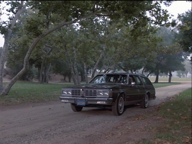 1983 Oldsmobile Custom Cruiser