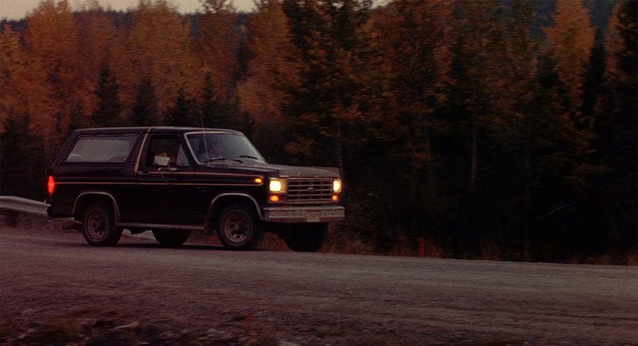 1982 Ford Bronco [U15]