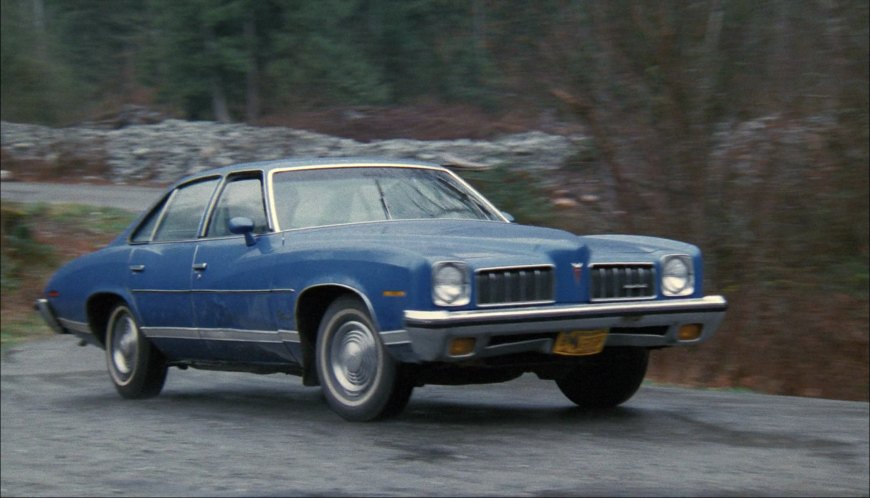 1973 Pontiac LeMans