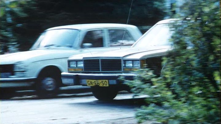 1977 Peugeot 304