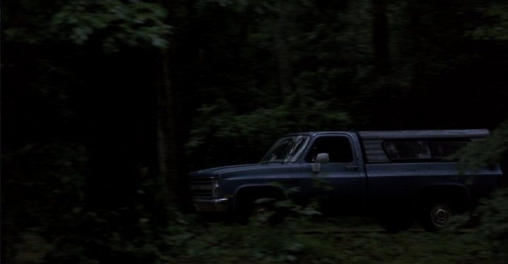 1985 Chevrolet C-10 Custom Deluxe Fleetside